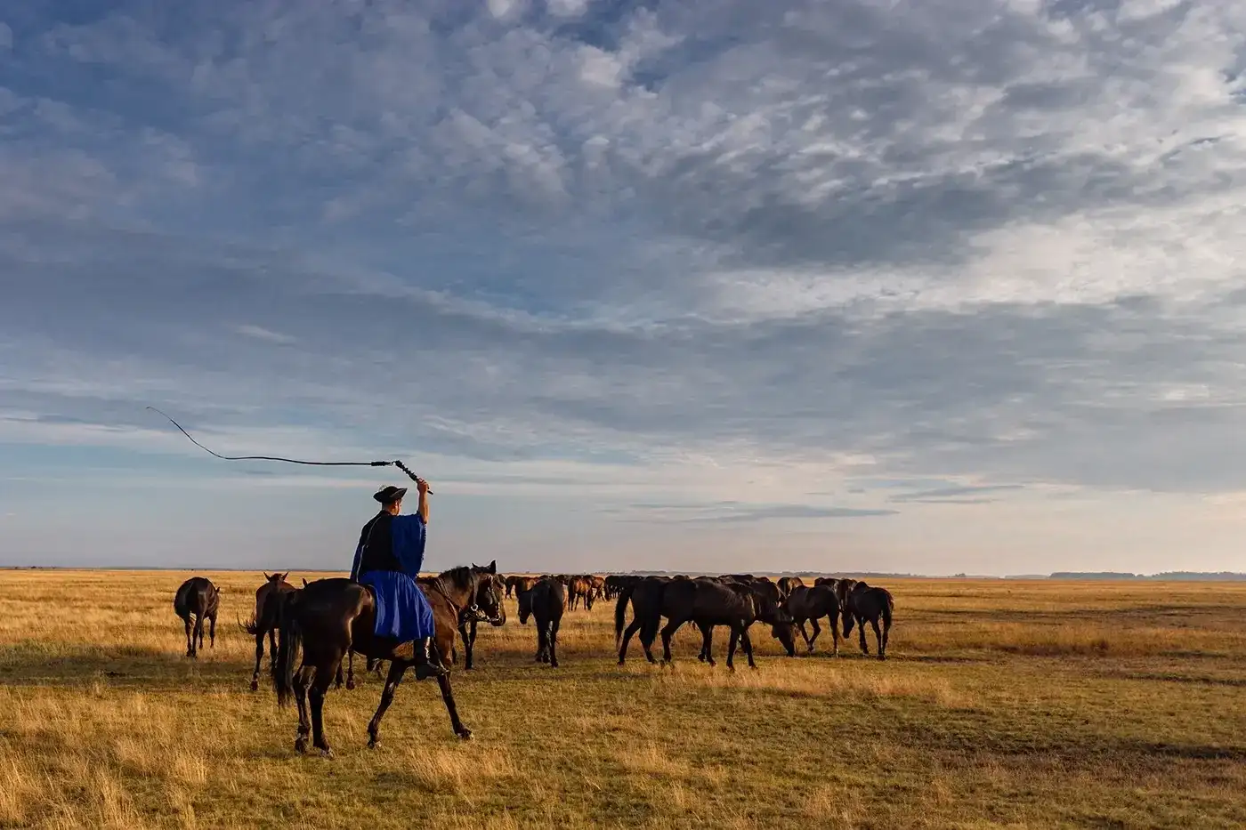 Great Hungarian Plain, „Puszta” tour